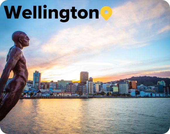 Wellington Harbour 